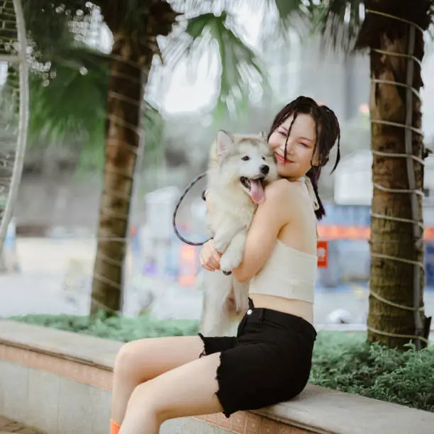 Professional Care for Your Beloved Pets dog
