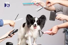 Essential Grooming Practices for Pets download (7)