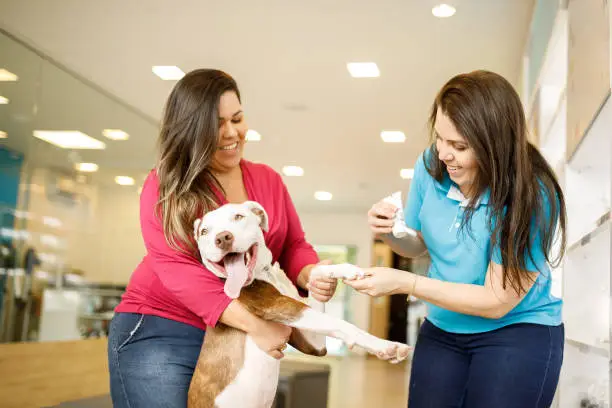 Services istockphoto 1073307524 612x612