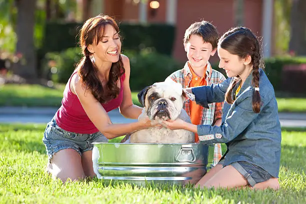 Services istockphoto 120809065 612x612