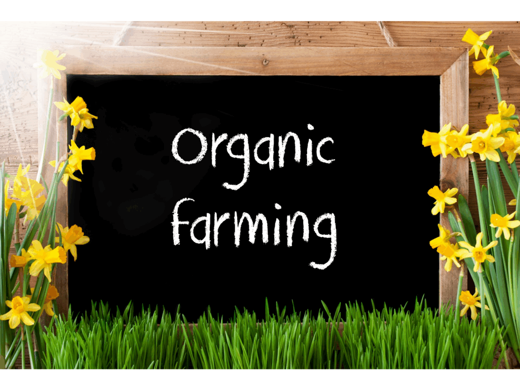 Top Organic Farming Business Ideas in 2026 featured image