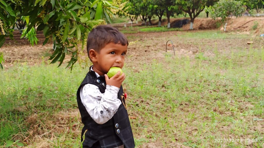 A young child eating a green fruit in a field